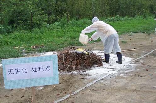 山東萬(wàn)盛源生物控股.jpg