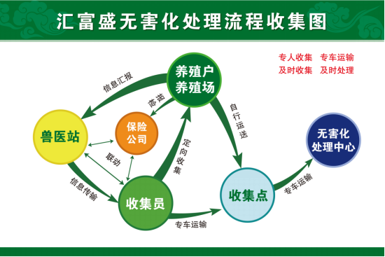 匯富盛病死畜禽無(wú)害化處理收集流程